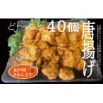 紀の国みかんどり 特選唐揚げ40個