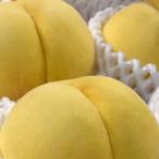 ふるさと納税 横手市 黄桃(黄貴妃) 約2kg