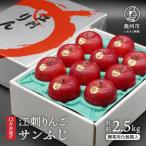 江刺りんご サンふじ 約2.5kg
