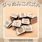 知育玩具 おもちゃ ぴったんこパズル