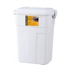 トラッシュカン ゴミ箱 ふた付き 50L