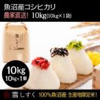 令和8年産 魚沼産コシヒカリ 雪しずく 精米10kg×1袋