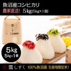 令和8年産 魚沼産コシヒカリ 雪しずく 精米5kg×1袋