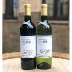ふるさと納税 山梨県 山梨県よりお届け「蒼龍葡萄酒」の定番ワイン赤白2本セット(720ml×2本)