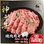 ふるさと納税 朝来市 神戸ビーフ ASGYS5 焼肉用セット
