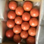 fu.... налог высота гора город .. высота гора .... иметь машина культивирование помидор [ король помидор ]3kg TR3728