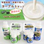 とろ~り食感 球磨の恵みヨーグルト詰合わせセット