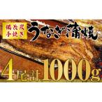 ふるさと納税 鹿屋市 九州産 備長炭手焼 うなぎ蒲焼 4尾(1000g)1746