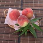 ふるさと納税 南アルプス市 【ふるさと納税】先行受付 厳選!桃 約2kg(5〜8玉) 山梨県南アルプス市産