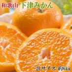和歌山下津みかん約6kg 2Lサイズ