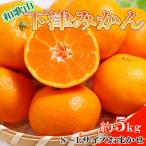 和歌山下津みかん約5kg S~Lサイズおまかせ