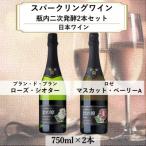 ふるさと納税 上越市 岩の原スパークリングワイン 瓶内二次発酵2本セット