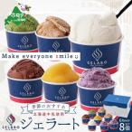 大 店のジェラートセット 8個