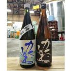 かたふね 純米酒 特別本醸造 720ml×2本セット