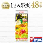 サンA1日分の12の果実48本セット