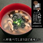 のべおか八杯汁 8パック