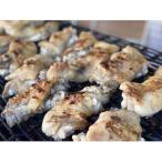 炭火焼きぷるぷる豚足10本 2本入り5パック