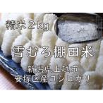 米 横山農園 コシヒカリ 令和7年産 2kg