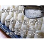 雪むろ棚田米コシヒカリ 20kg