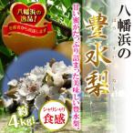 ふるさと納税 八幡浜市 八幡浜の梨、果汁たっぷり!!「豊水」4キロ【D39-37】