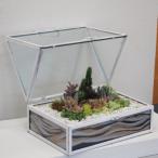 ガラスのアイアンハウス 多肉植物の寄せ植え&amp;サンドア…