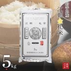 ふるさと納税 奥州市 【精米】江刺金札米ひとめぼれパック米 5kg 令和7年産 真空パック 特別栽培米   [A0034]