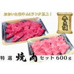 おおいた和牛A4ランク以上 特選焼肉セット600g