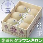 クラウンメロン 白等級 中玉 6玉入