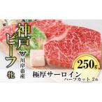 ふるさと納税 西脇市 【神戸牛 牝】極厚サーロインステーキ ハーフカット:2枚 約250g