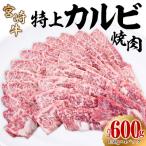 内閣総理大臣賞4連覇 宮崎牛 牛肉 特上 カルビ