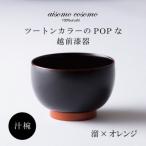 越前漆器 aisomo cosomo 汁椀