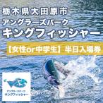 キングフィッシャー半日入場券