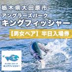 キングフィッシャー半日入場券