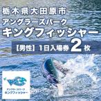 キングフィッシャー1日入場券