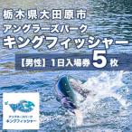 キングフィッシャー1日入場券