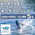 キングフィッシャー1日入場券