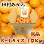高級ブランド 田村みかん 秀品 10kg