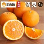 ふるさと納税 海南市 清見オレンジ(みかん)|和歌山県海南市下津町産。樹上完熟させた濃厚な味わいを産地直送でお届け
