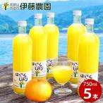 伊藤農園100%ピュアジュースはっさくしぼり750ml×5本