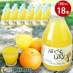 伊藤農園100%ピュアジュースはっさくしぼり180ml×18本