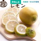 レモン2.5kg+250g 傷み補償分