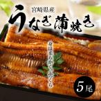 産うなぎ蒲焼き 5尾セット_K10_0011_3