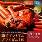 茹でたて未冷凍ズワイガニ 松葉 越前 魚政BLACK特撰
