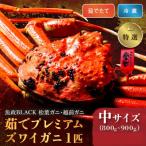 茹でたて未冷凍ズワイガニ 松葉 越前 魚政BLACK