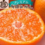 鹿蔵 プレミアム 有田 みかん 5kg+250g