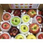 ふるさと納税 千曲市 りんごの宝石箱 信州りんご 詰合せ 約5kg (10〜18玉) 【品種おまかせ】