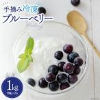 fu.... налог прекрасный . блок рефрижератор голубика 1kg(500g×2) прекрасный . блок производство 