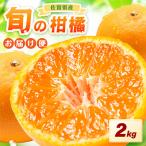 佐賀の旬の柑橘をお届け 佐賀産かんきつ2kg