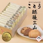 ことうのクッキー 越後三山 バター チョコチップ