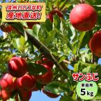 ショッピングふるさと納税 訳あり ふるさと納税 飯綱町 【訳あり】 りんご サンふじ 5kg